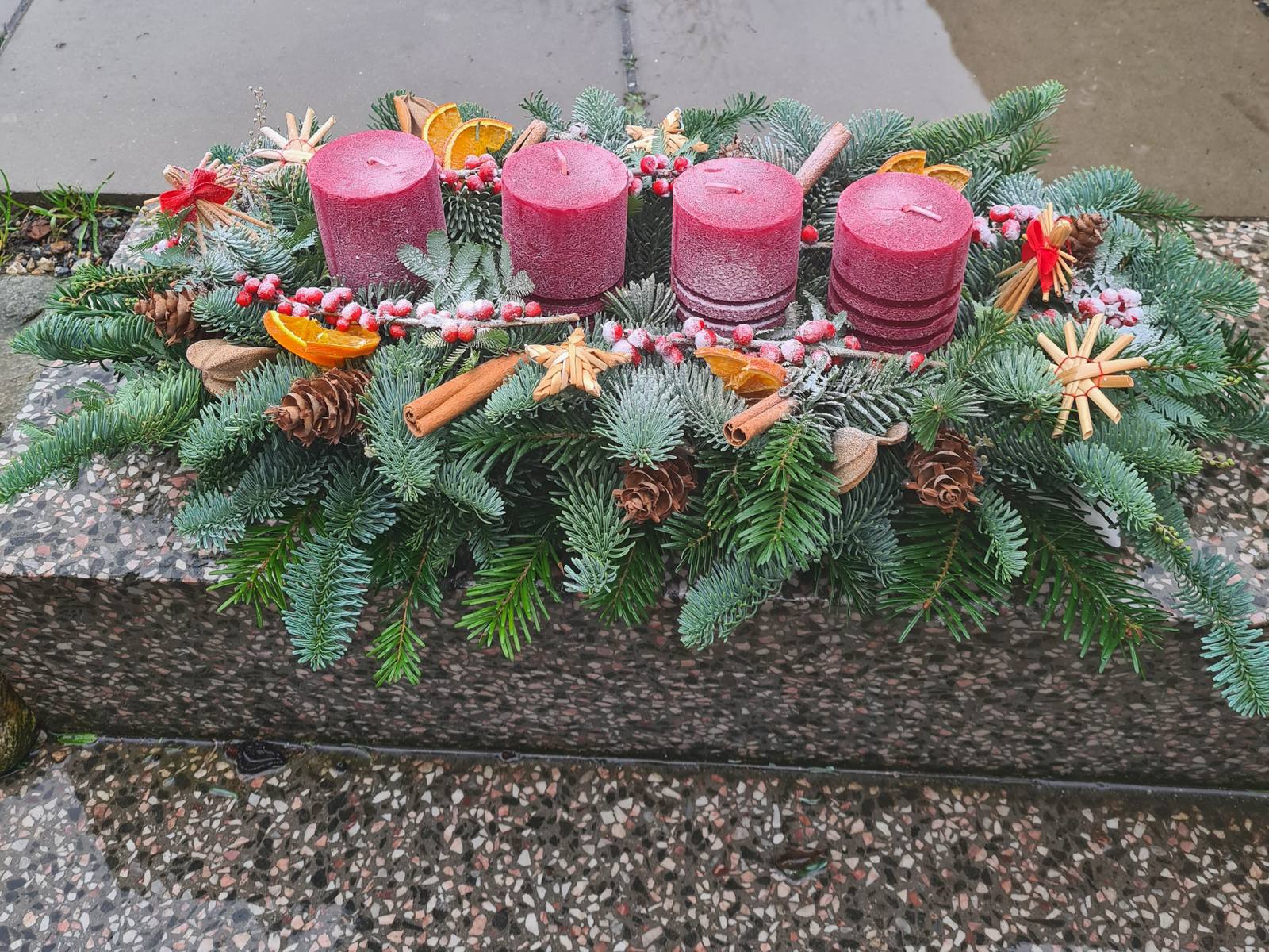 Adventní aranžmá z chvojí se čtyřmi růžovými svíčkami a sušenými pomeranči